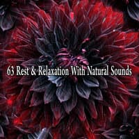 63 Rest & Relaxation with Natural Sounds