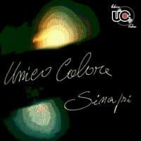 UNICO COLORE SINAPSI