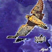 Soar