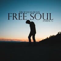 Free soul (Drop Dead Beats)