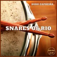 Snares of Rio