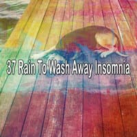 37 Rain to Wash Away Insomnia