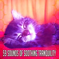 59 Sounds of Soothing Tranquility