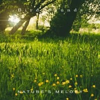 Nature's Melody