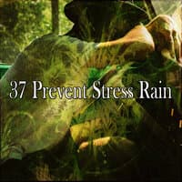 37 Prevent Stress Rain