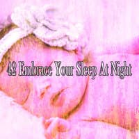 42 Embrace Your Sleep at Night