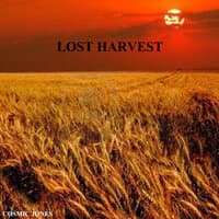 Lost Harvest