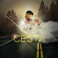 Cesta