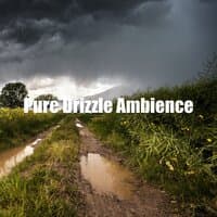 Pure Drizzle Ambience