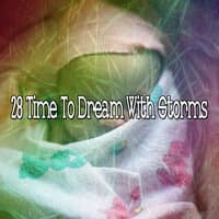 28 Time to Dream with Storms