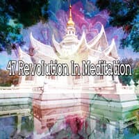 47 Revolution in Meditation