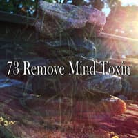 73 Remove Mind Toxin