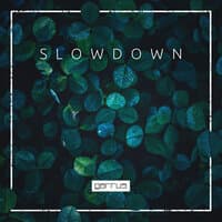 Slowdown