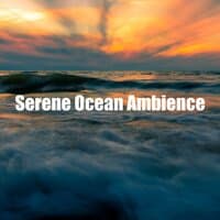 Serene Ocean Ambience