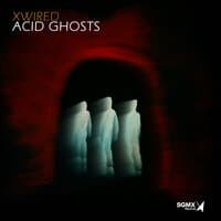 Acid Ghosts