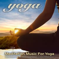 Guitar Music for Healing and Wellness