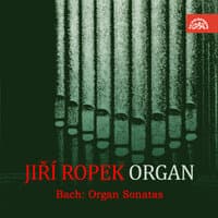 Bach: Organ Sonatas