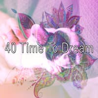 40 Time to Dream