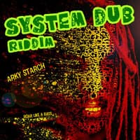 system dub riddim