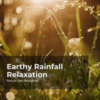 Earthy Rainfall Relaxation