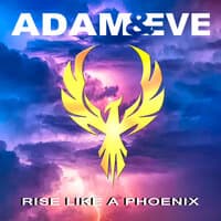 Rise Like a Phoenix