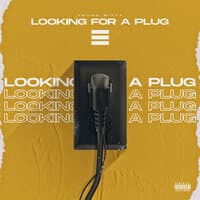 Looking for a Plug