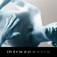 Introspectre