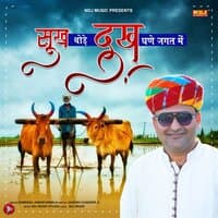 Sukh Thode Dukh Ghane Jagat Me - Single