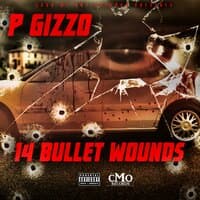 14 Bullet Wounds