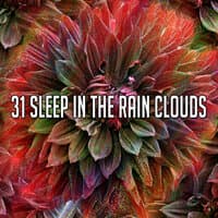 31 Sleep in the Rain Clouds