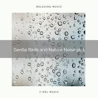 2021 Gentle Birds and Nature Noise pt. 1