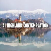 41 Highland Contemplation