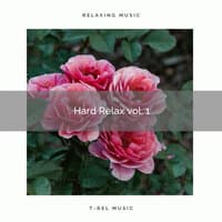 ! ! ! ! ! Hard Relax vol. 1