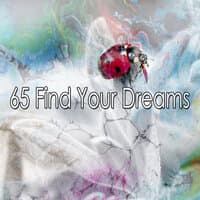 65 Find Your Dreams