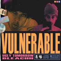 Vulnerable