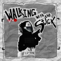 Walking with the Stick