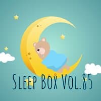 Sleep Box Vol.85