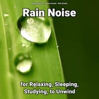 Rain Noise for Relaxing, Sleeping, Studying, to Unwind