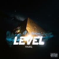 LEVEL