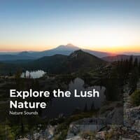 Explore the Lush Nature