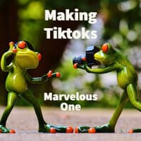 Making Tiktoks