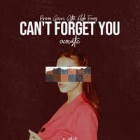 Can't Forget You