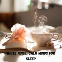 White Noise: Calm Minds for Sleep