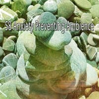 58 Anxiety Preventing Ambience