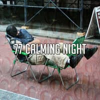 77 Calming Night