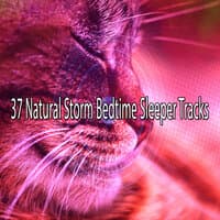 37 Natural Storm Bedtime Sleeper Tracks