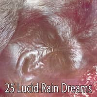 25 Lucid Rain Dreams