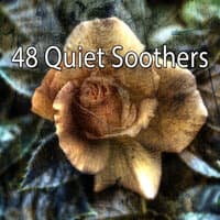 48 Quiet Soothers