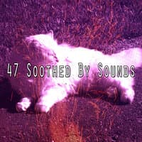 47 Soothed by Sounds