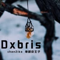 Dxbris